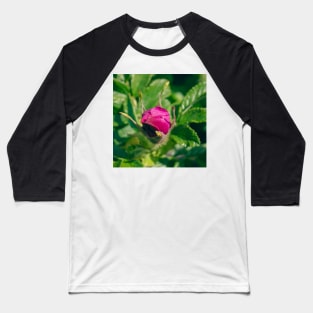 Beautiful rose bud Baseball T-Shirt